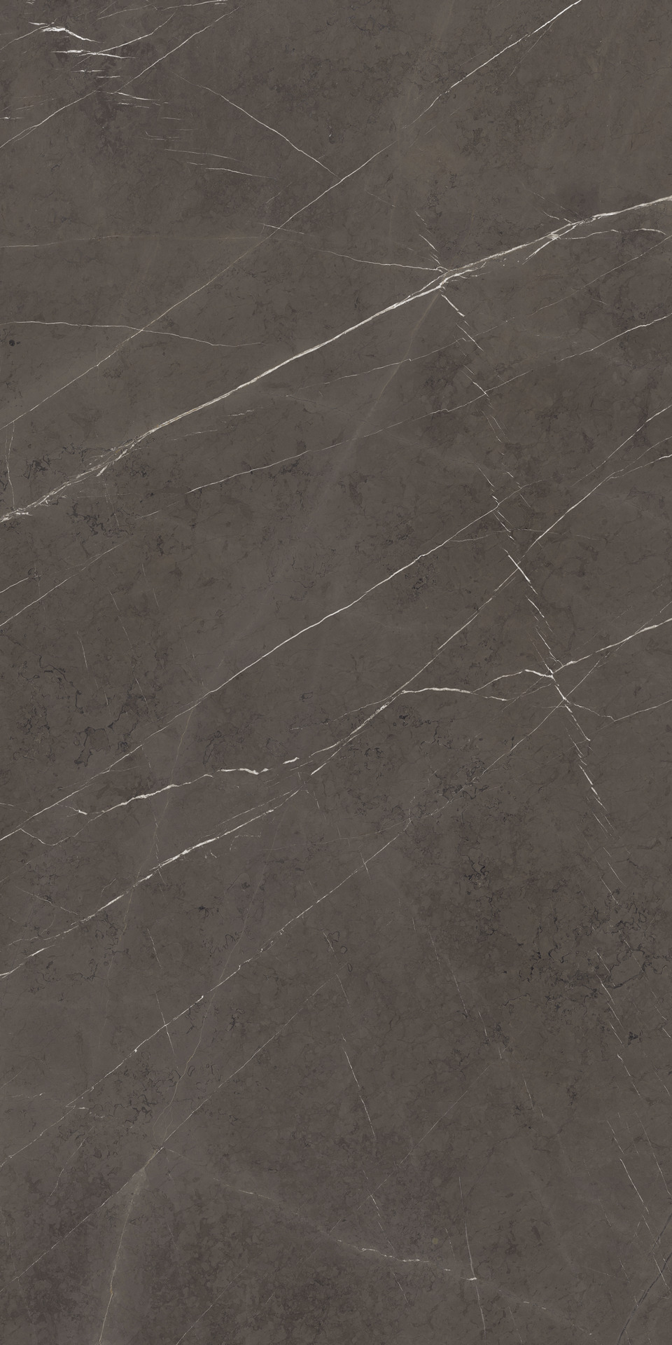 marazzi grande marble look mcs4.jpg