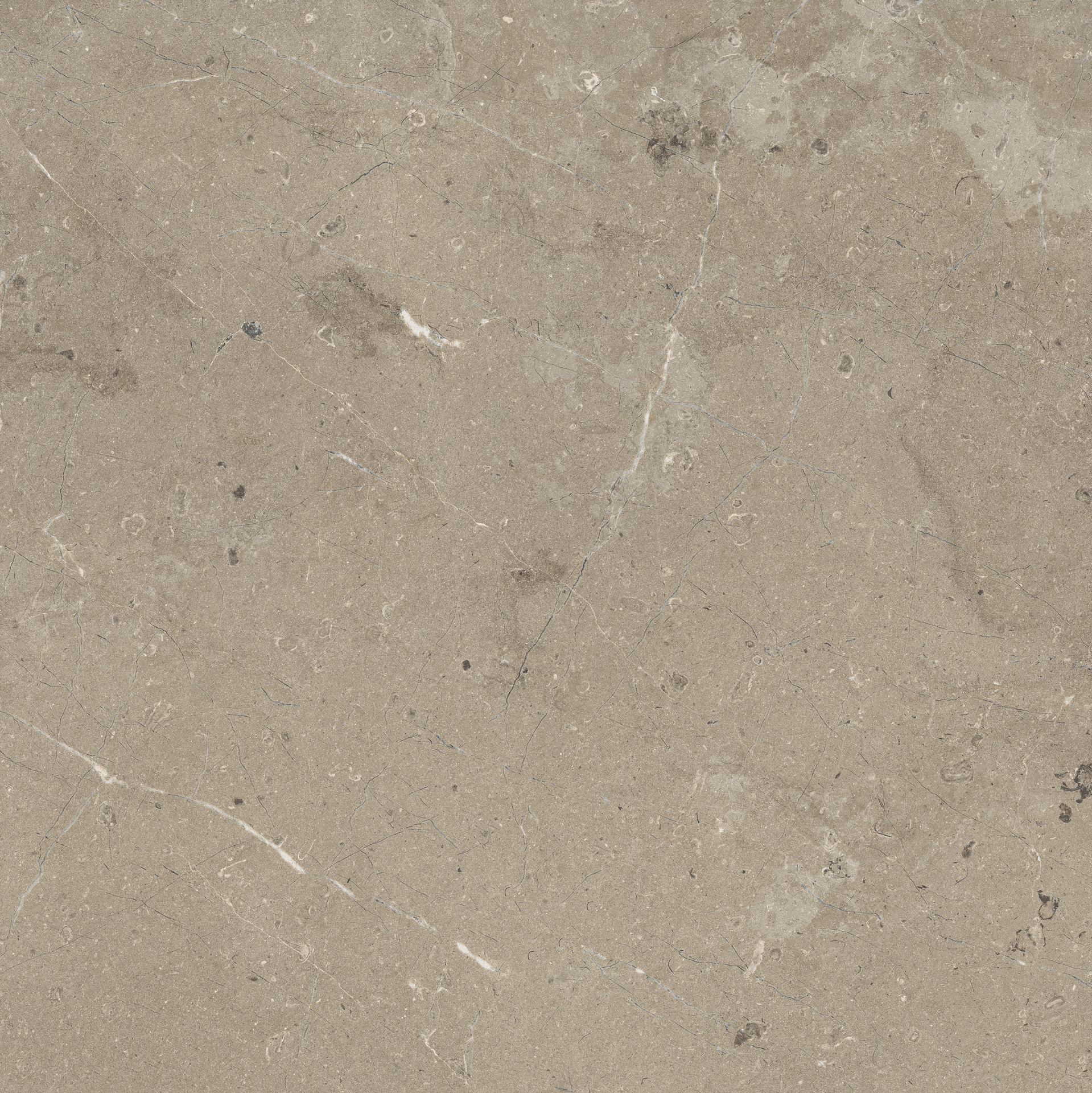 marazzi mystone limestone m7e5.jpg