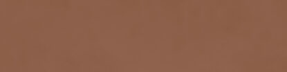marazzi poster mcts.jpg